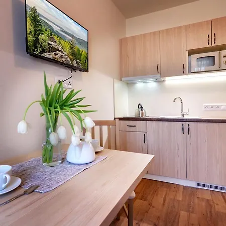 Apartmany Tatra Jáchymov Exterior foto